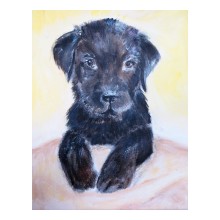 Mila labradorpup, acryl op paneel, 24 bij 30 cm 2019 privébezit